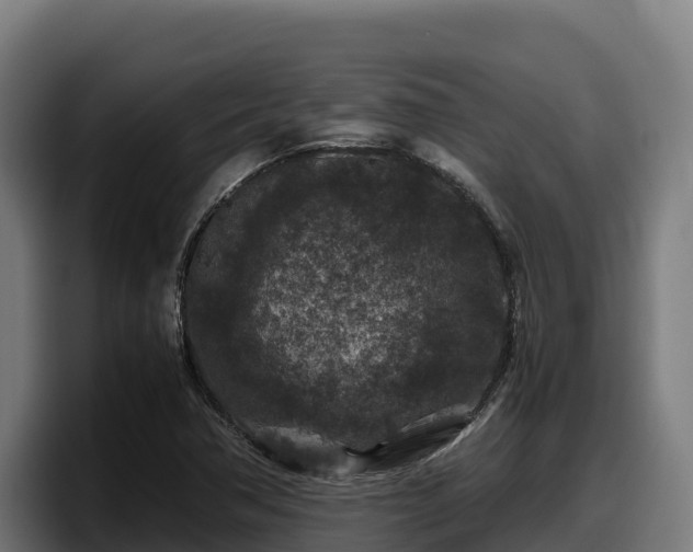 X0000097841362200803201509