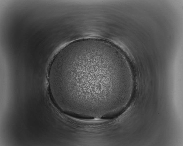 X0000097841363200803201509