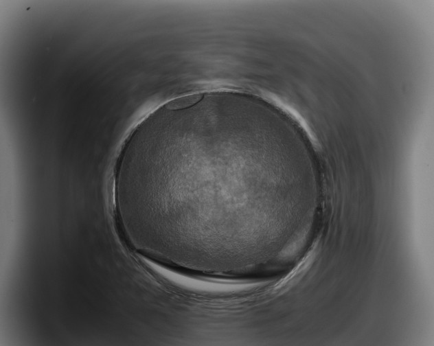 X0000097841365200803201509
