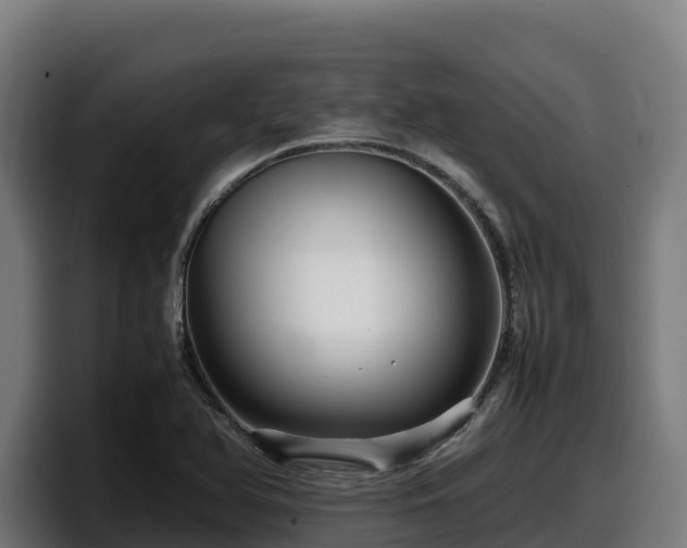 X0000097841366200803201509