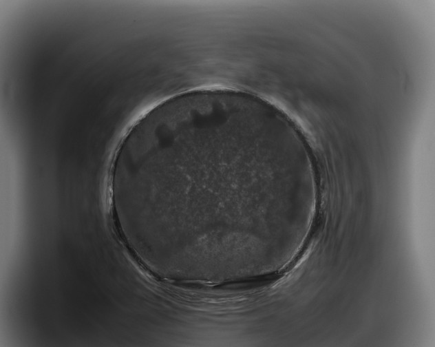 X0000097841367200803201509