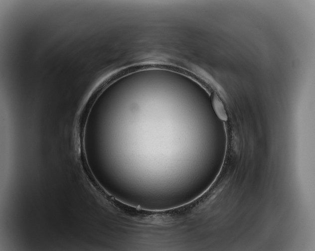 X0000097841368200803201509
