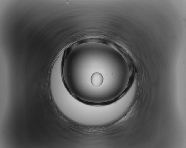 X0000097841369200803201509