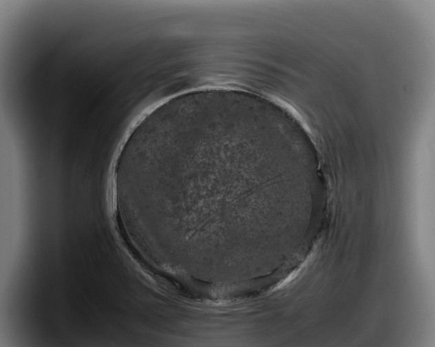 X0000097841371200803201509
