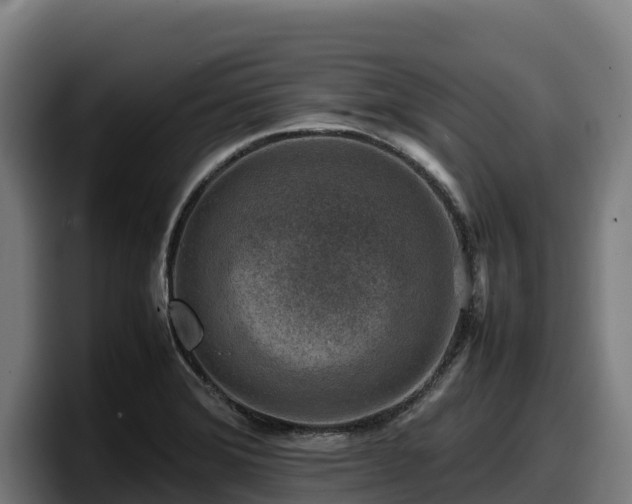 X0000097841372200803201509