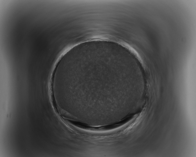 X0000097841373200803201509