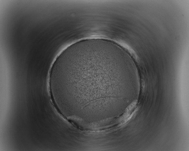 X0000097841374200803201509