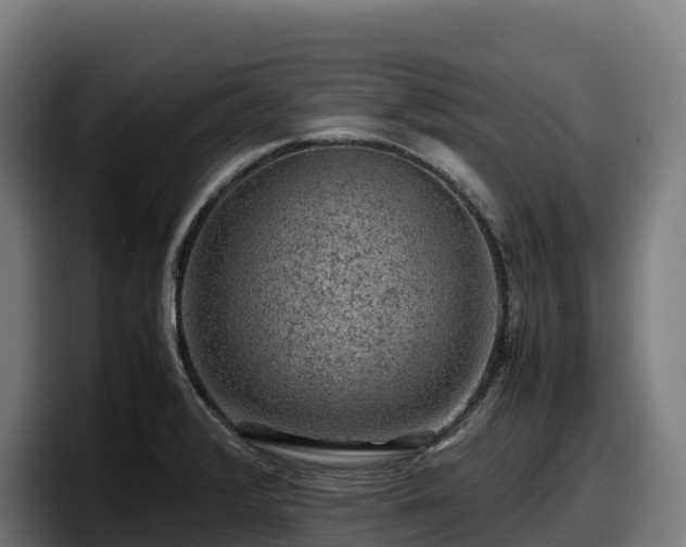 X0000097841376200803201509