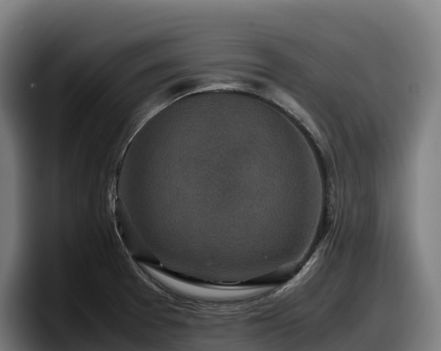 X0000097841377200803201509