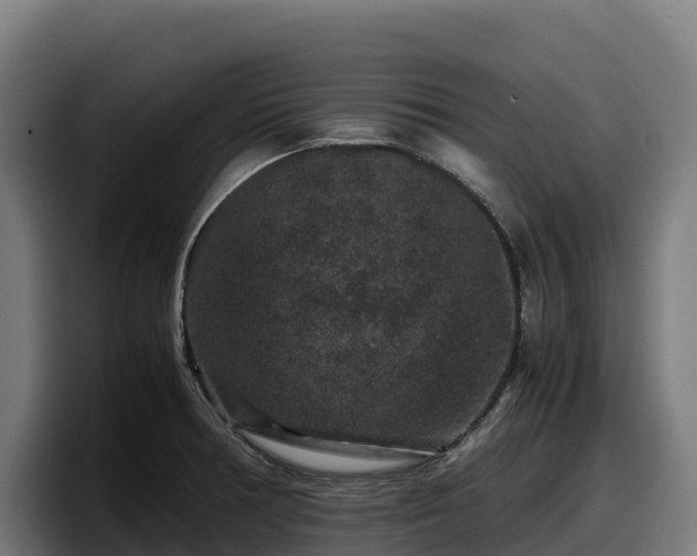 X0000097841378200803201509