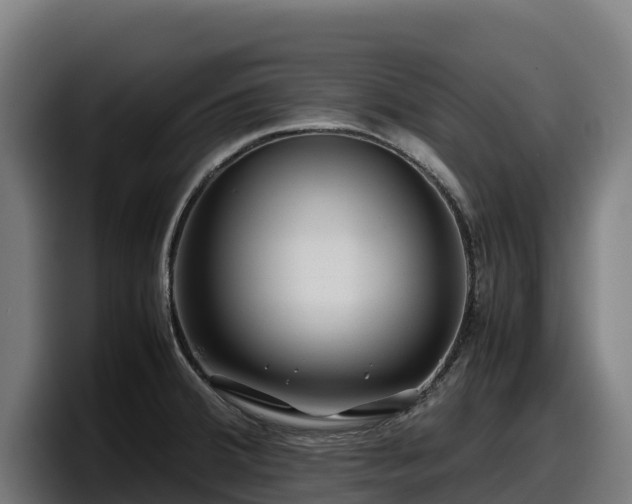 X0000097841380200803201509