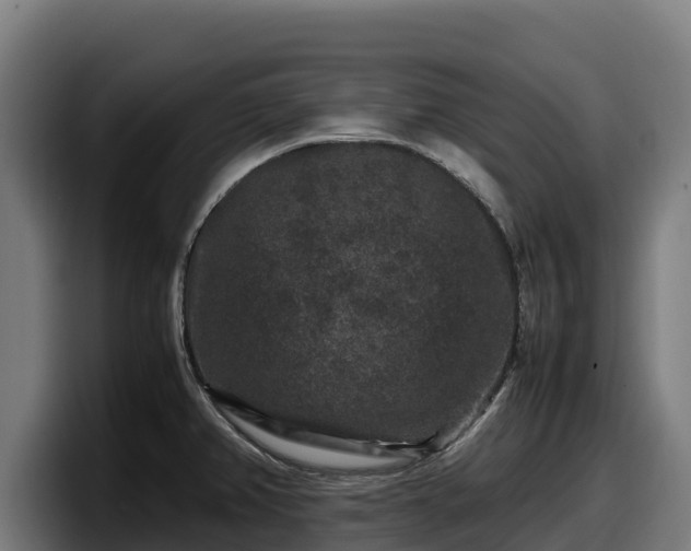 X0000097841382200803201509