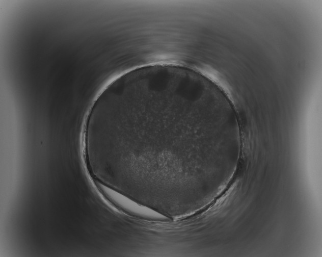 X0000097841383200803201509