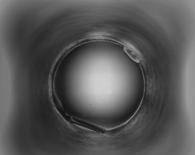 X0000097841384200803201509