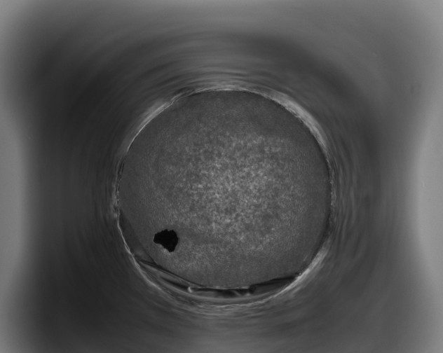 X0000097841385200803201509