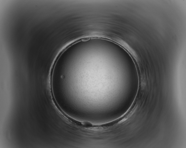 X0000097841388200803201509