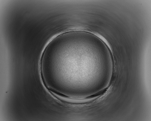 X0000097841389200803201509