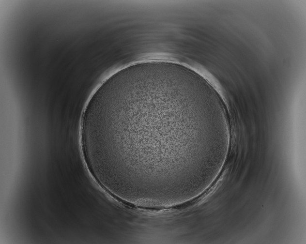 X0000097841390200803201509