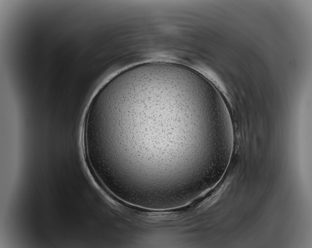 X0000097841391200803201509