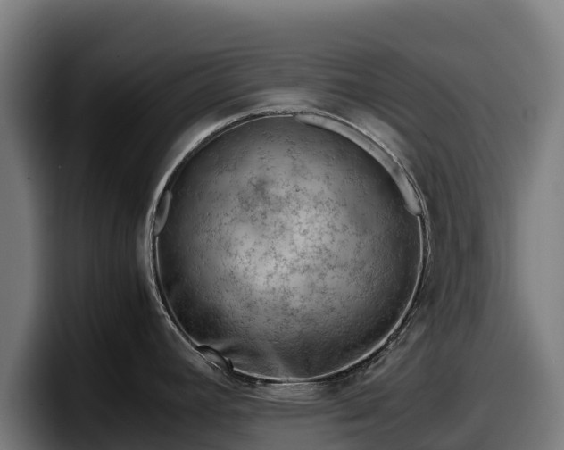 X0000097841392200803201509