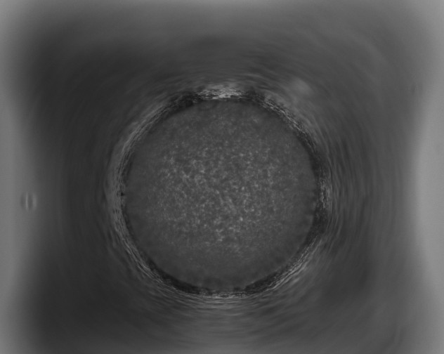 X0000097841393200803201508