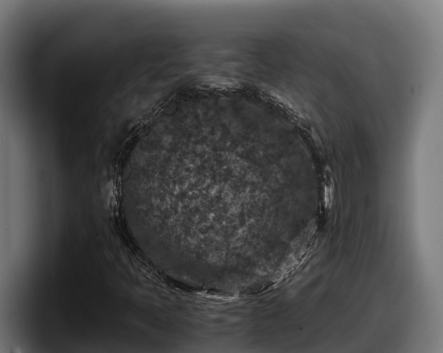 X0000097841397200803201508