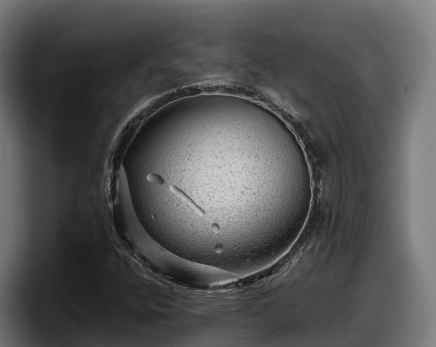 X0000097841400200803201508