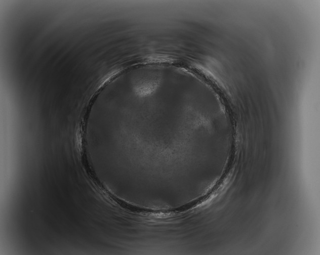 X0000097841401200803201508