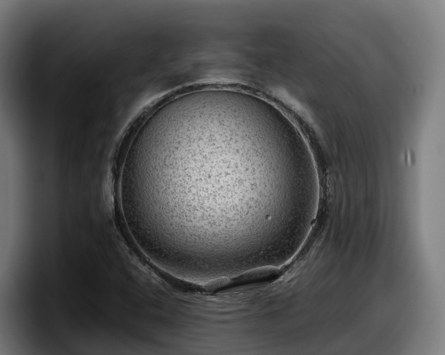 X0000097841408200803201508
