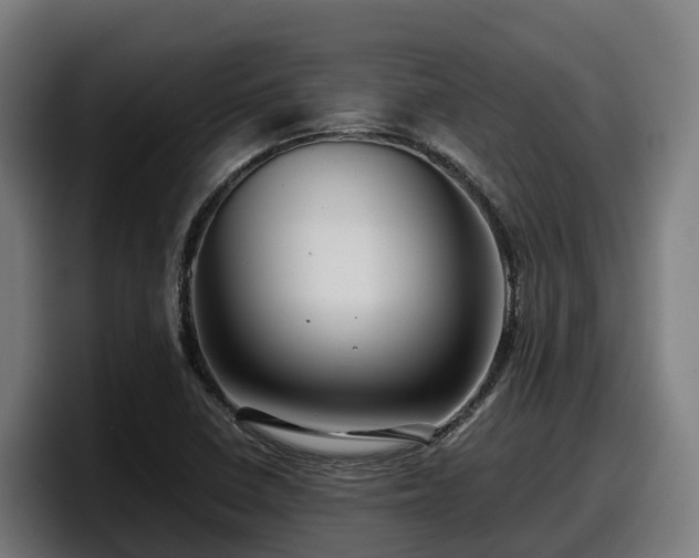 X0000097841410200803201508