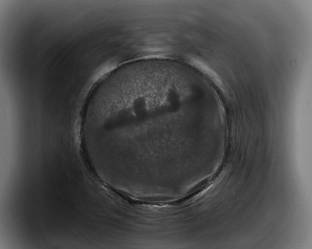 X0000097841411200803201508