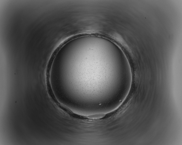 X0000097841412200803201508