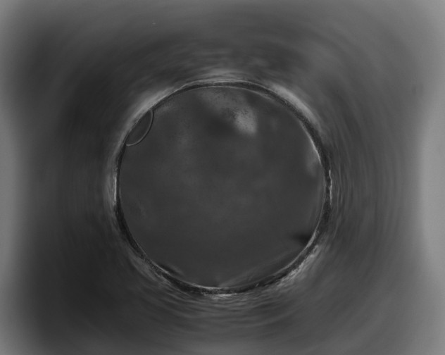 X0000097841413200803201509