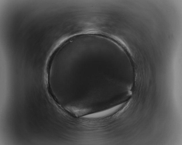 X0000097841414200803201509