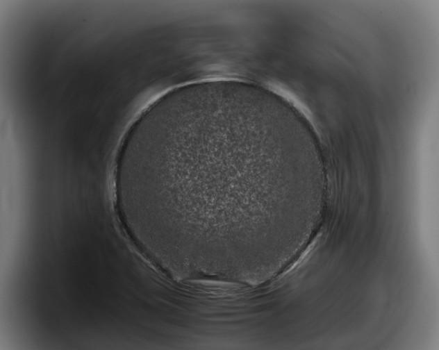 X0000097841415200803201509