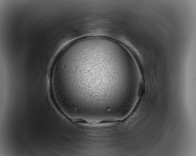 X0000097841416200803201509