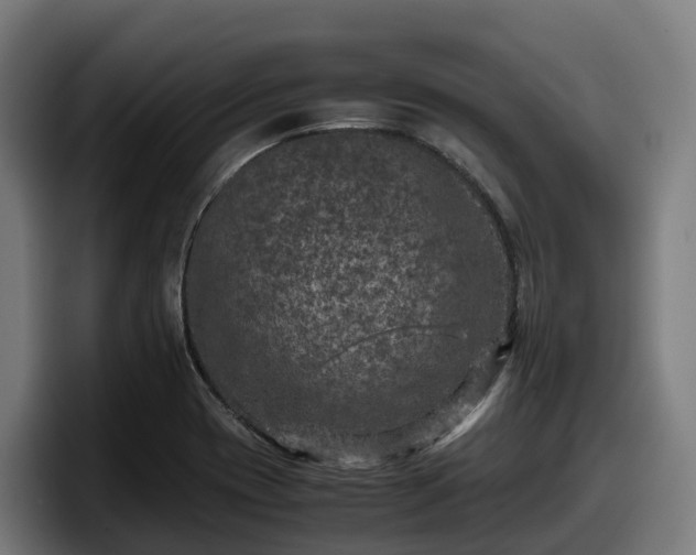 X0000097841417200803201509
