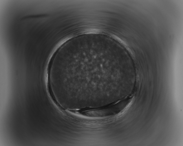 X0000097841418200803201509