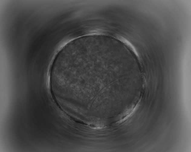 X0000097841419200803201509