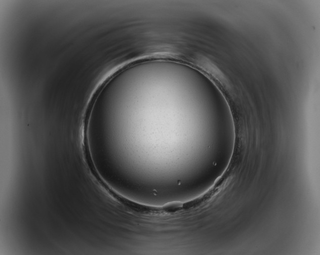 X0000097841420200803201509