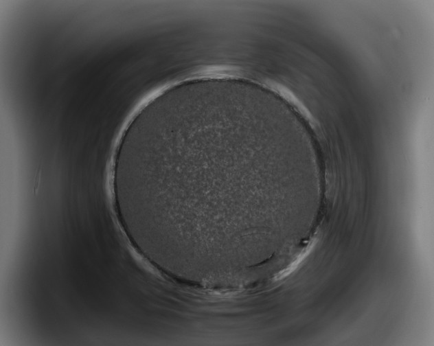 X0000097841421200803201509