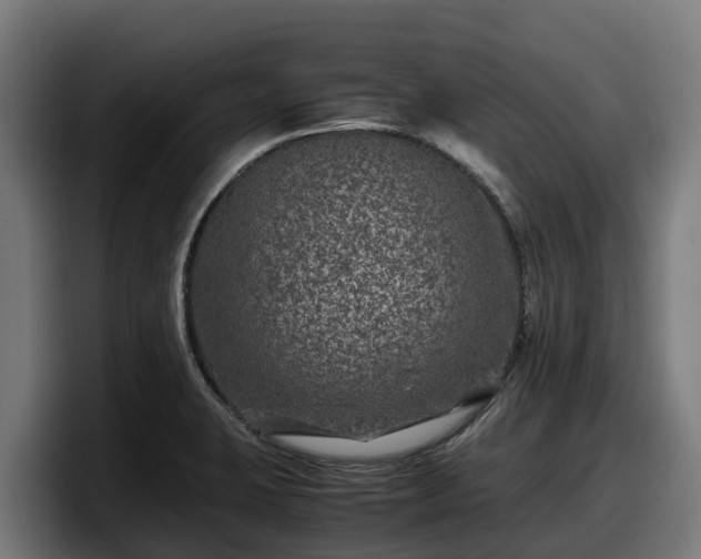 X0000097841423200803201509