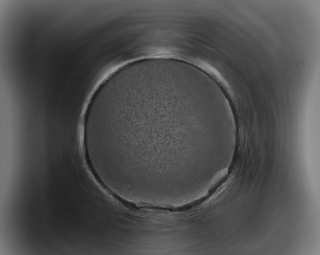 X0000097841424200803201509