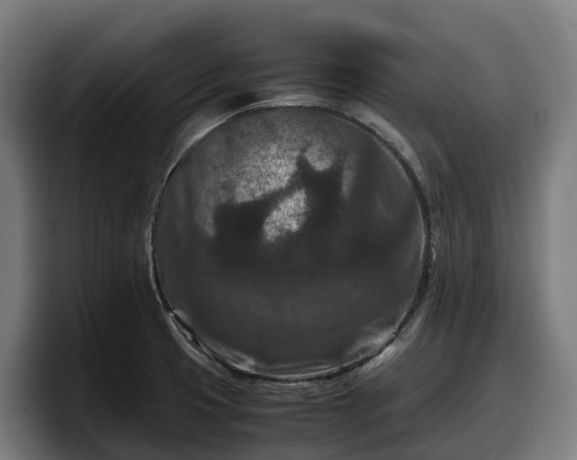 X0000097841425200803201509