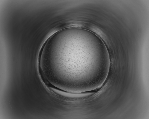 X0000097841426200803201509