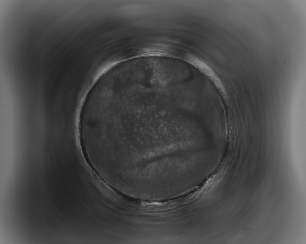 X0000097841427200803201509