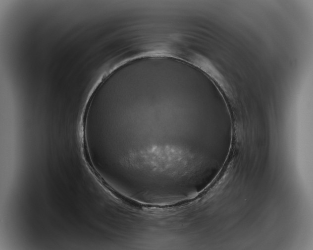 X0000097841428200803201509