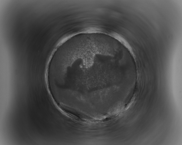 X0000097841429200803201509