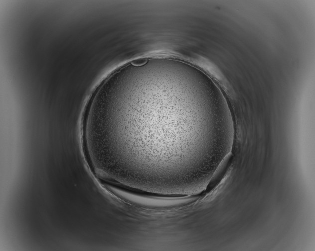 X0000097841430200803201509