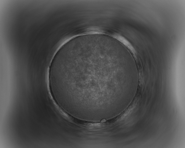 X0000097841431200803201509